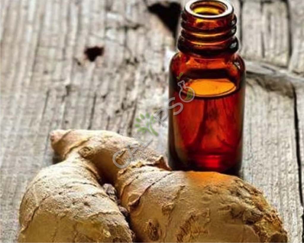 Buy Pure Ginger Essential Oil